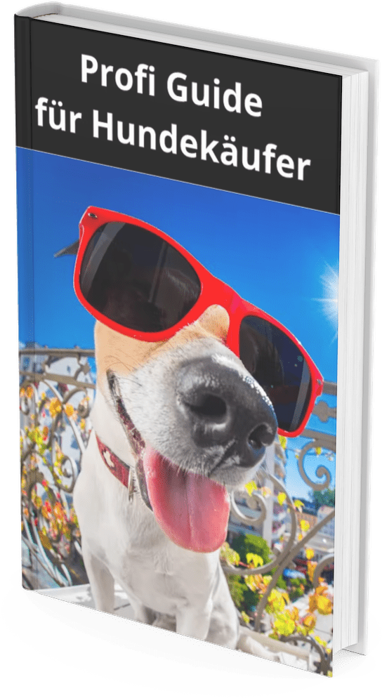 Profiguide für Hundekäufer