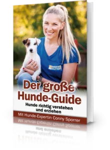 Der grosse Hundeguide – Nachschlagewerk im Kursvergleich