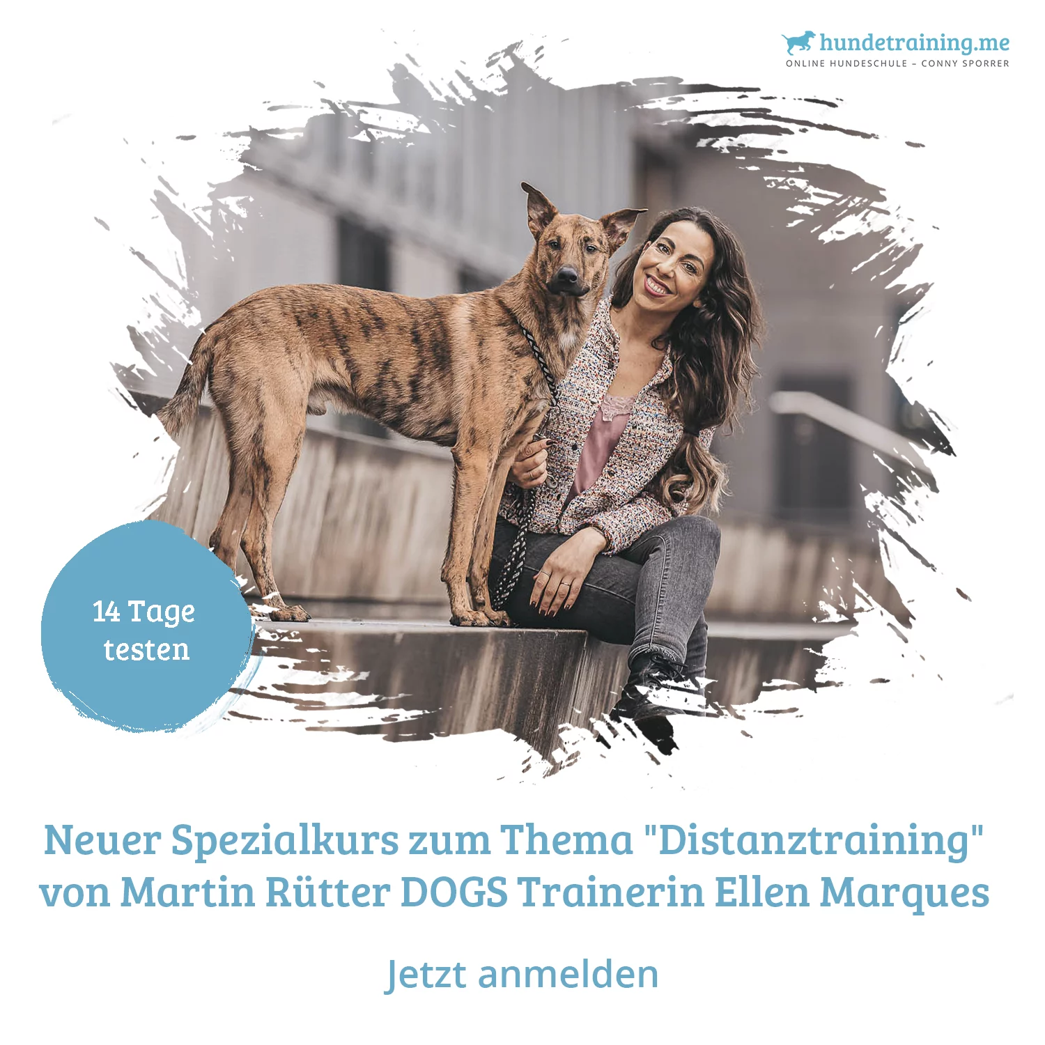Kurs Distanztraining – im Kursvergleich für Gelassenheit auf Distanz