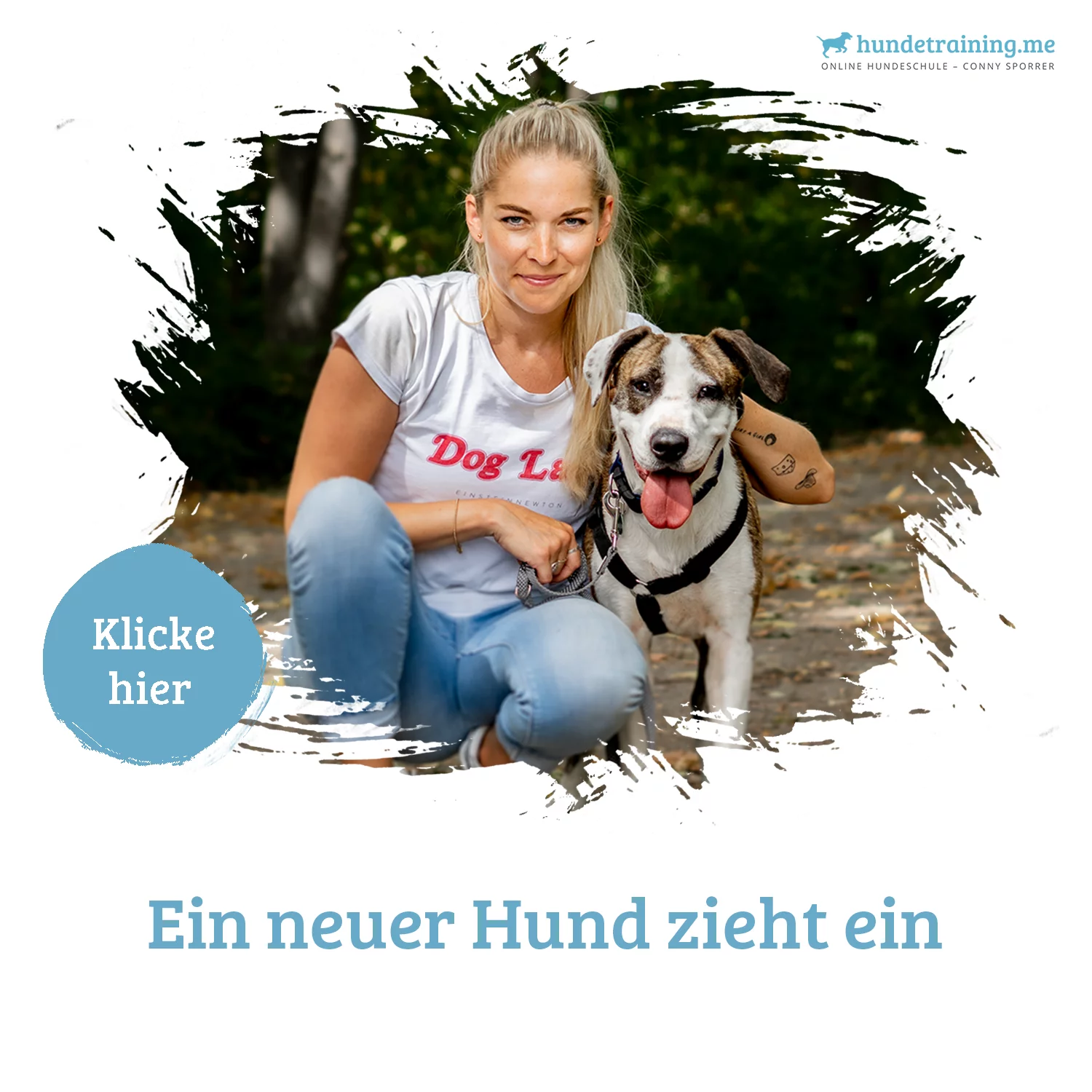 Kurs Ein neuer Hund zieht ein – im Kursvergleich für den Einzug